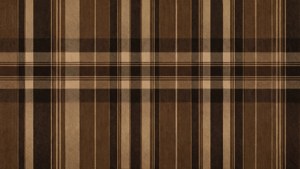 Brown Plaid Stripes
