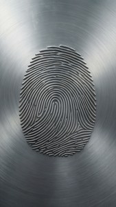 Brushed Metal Fingerprint