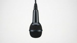 Budget Mic White