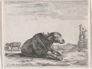 Buffels