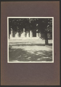 [Building covered by tree]