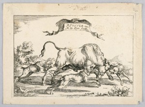 Bull Hunt Scene
