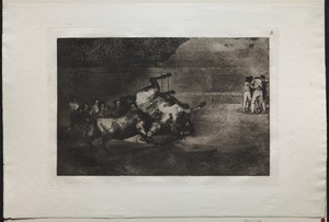 Bullfights:  A Horse Thrown by the Bull