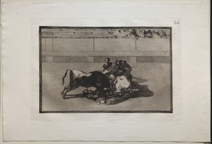 Bullfights:  A Picador is Unhorsed and Falls Under the Bull
