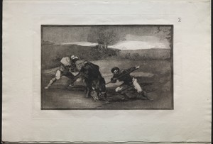 Bullfights:  Another Way of Hunting on Foot