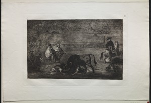 Bullfights: The Dog Let Loose on the Bull
