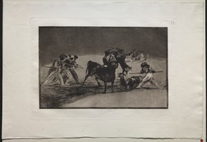 Bullfights:  The Moors Use Donkeys as a Barrier to Defend Themselves Against the Bull Whose Horns Have Been Tipped with Balls