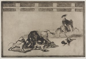 Bullfights:   They Loose Dogs on the Bull