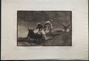 Bullfights:  They Play Another with the Cape in an Enclosure