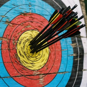 Bullseye Precision