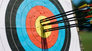 Bullseye Target Closeup