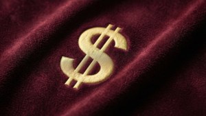 Burgundy Suede Gold Dollar