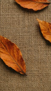 Burlap and Leaves Texture