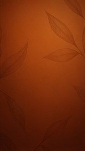Burnt Orange Minimal