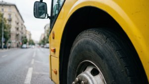 Bus Details Macro
