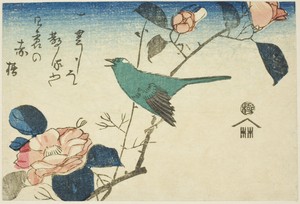 Bush warbler and camellia