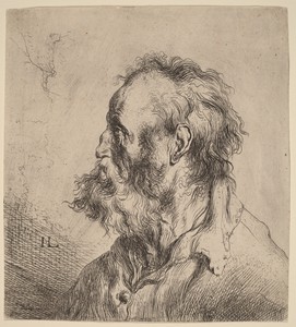 Bust of a Bearded Old Man