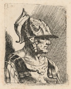 Bust of a Bearded Warrior