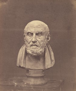 Bust of Chrysippus