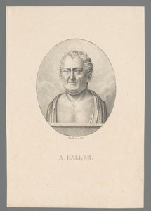 Buste van Albrecht von Haller