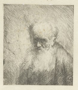 Buste van een oude man met een lange baard