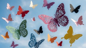 Butterflies on Blue Sky
