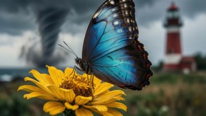 Butterfly Effect