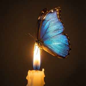 Butterfly on Candle