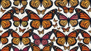 Butterfly Seamless