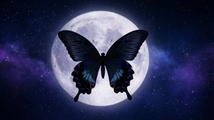 Butterfly Silhouette Moon