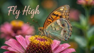 Butterfly Whisper