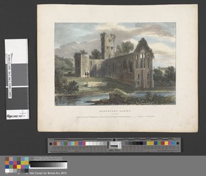 Buttevent Abbey, Cork