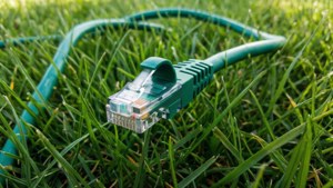 Cable in Grass Macro