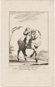 Cacasenno on Horseback