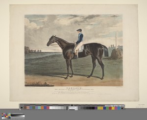 Cadland, the Winner of the Derby Stakes at Epsom, 1828