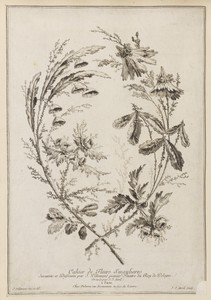Cahier de Fleurs Singulieres