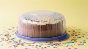 Cake Carrier Celebration