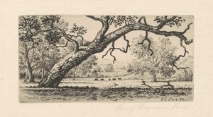 California Landscape