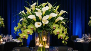 Calla Lily Candlelight