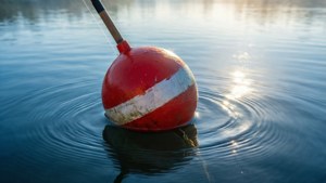 Calm Bobber Morning