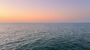 Calm Ocean Horizon