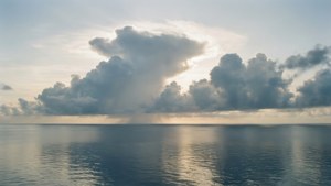 Calm Ocean Nimbus