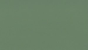 Calming Sage Green