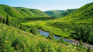 Cambrian Valley Green