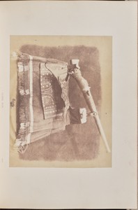 Camel Gun