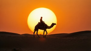 Camel Rider Sunset Silhouette