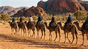 Camel Train Outback