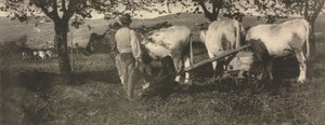 Camera Work: Ploughing Team