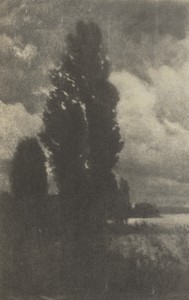 Camera Work: Poplars and Clouds