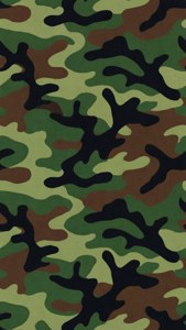 Camouflage Abstract
